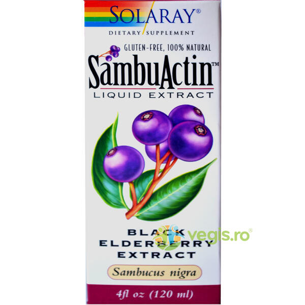 Sambuactin Liquid Extract 120ml Secom,, SOLARAY, Unguente, Geluri Naturale, 2, Vegis.ro