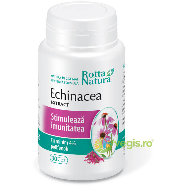 Echinacea Extract 30cps, ROTTA NATURA, Antibiotice naturale, 1, Vegis.ro