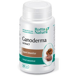 Ganoderma Extract 30cps ROTTA NATURA