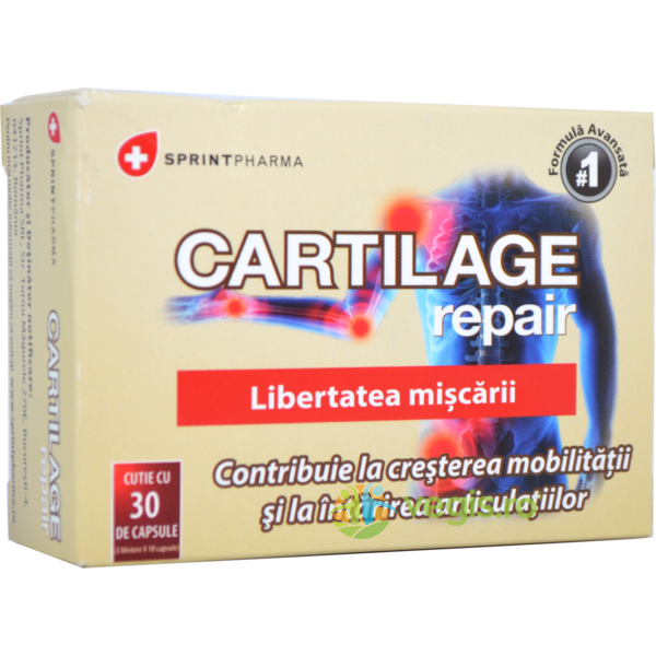 Cartilage Repair 30cps, SPRINT PHARMA, Capsule, Comprimate, 1, Vegis.ro
