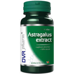 Astragalus Extract 60cps DVR PHARM