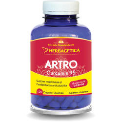 Artro Curcumin 95 120cps HERBAGETICA