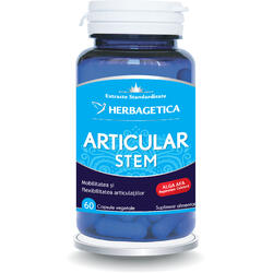 Articular Stem 60cps HERBAGETICA