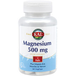 Magnesium 500Mg 60Cps Secom, KAL