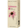 Tinctura De Echinacea 50ml DACIA PLANT