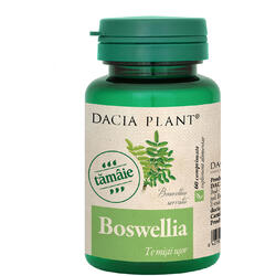 Boswellia (Tamaie) 60Cpr DACIA PLANT