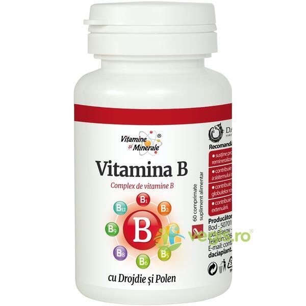 Vitamina B (Complex) 60Cpr, DACIA PLANT, Vitamina B12, 1, Vegis.ro