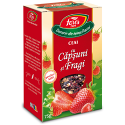 Ceai de Capsuni si Fragi 75g FARES