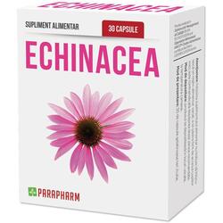 Echinacea 30cps QUANTUM PHARM