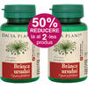 Branca Ursului 60Cpr Pachet Exclusiv 1+1 (50% reducere la al doilea produs) DACIA PLANT