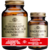 Glucosamine Hyaluronic Acid Chondroitin MSM 60tb (Glucozamina, acid hialuronic, condroitina si MSM) + Magnesium (Magneziu) cu B6 100 tablete Pachet 1+1 Cadou SOLGAR