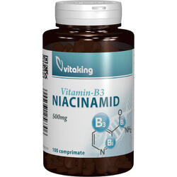 Vitamina B3 (Niacinamida) 500mg 100cpr VITAKING