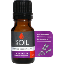 Ulei Esential de Lavanda (Lavender) Ecologic/Bio 10ml SOiL