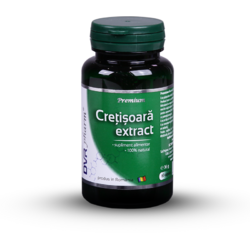 Cretisoara Extract 60Cps DVR PHARM