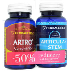 Pachet Artro Curcumin 95 60cps + Articular Stem 60cps (50% reducere la al doilea produs) HERBAGETICA