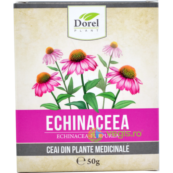 Ceai de Echinaceea 50g, DOREL PLANT, Ceaiuri vrac, 1, Vegis.ro