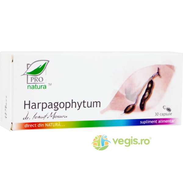 Harpagophytum (Pulbere de Gheara Diavolului) 30cps, MEDICA, Capsule, Comprimate, 1, Vegis.ro