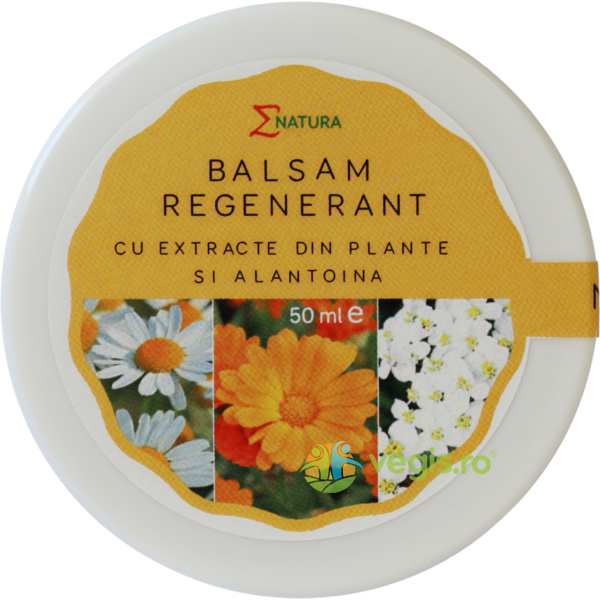 Balsam Regenerant cu Extract din Plante si Alantoina 50ml, ENATURA, Unguente, Geluri Naturale, 1, Vegis.ro