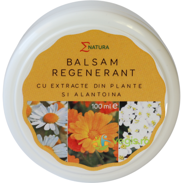 Balsam Regenerant cu Extract din Plante si Alantoina 100ml, ENATURA, Unguente, Geluri Naturale, 1, Vegis.ro