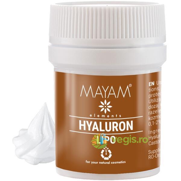 Acid Hialuronic LIPO 1g, MAYAM, Ingrediente Cosmetice Naturale, 1, Vegis.ro