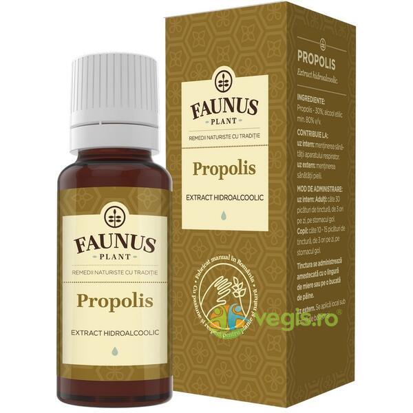 Tinctura de Propolis 30% 20ml, FAUNUS PLANT, Tincturi simple, 1, Vegis.ro