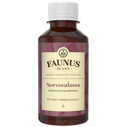 Tinctura Nervocalmus (Sistem nervos sanatos) 200ml FAUNUS PLANT