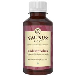 Tinctura Colesterolus (Colesterol in limite normale) 200ml FAUNUS PLANT