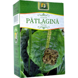 Ceai Patlagina 50gr STEFMAR