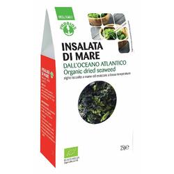 Salata de Alge Ecologica/Bio 25g PROBIOS