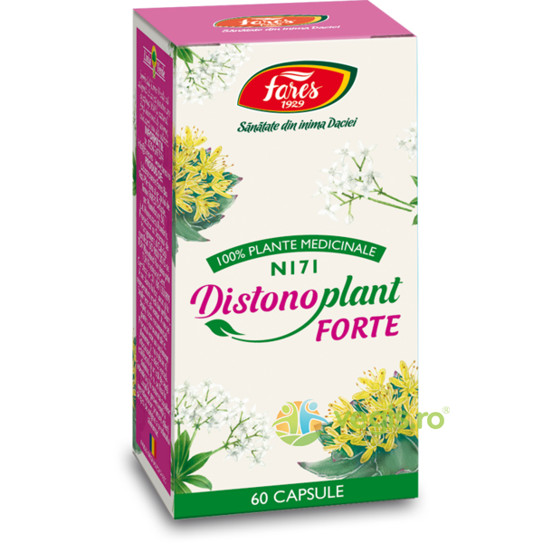 Distonoplant Forte  (N171) 60cps, FARES, Remedii Capsule, Comprimate, 1, Vegis.ro