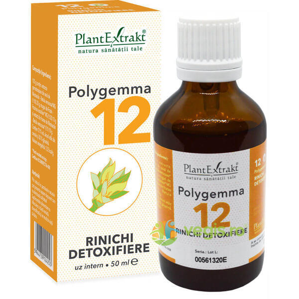 Polygemma 12 (Rinichi-Detoxifiere) 50ml, PLANTEXTRAKT, Gemoderivate, 1, Vegis.ro