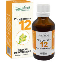 Polygemma 12 (Rinichi-Detoxifiere) 50ml PLANTEXTRAKT