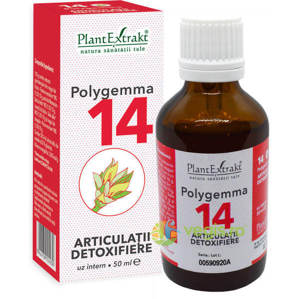 Polygemma 14 (Articulatii-Detoxifiere) 50ml, PLANTEXTRAKT, Gemoderivate, 1, Vegis.ro