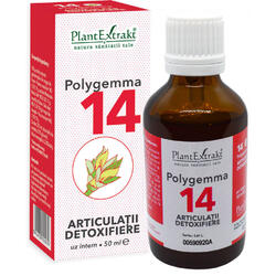 Polygemma 14 (Articulatii-Detoxifiere) 50ml PLANTEXTRAKT