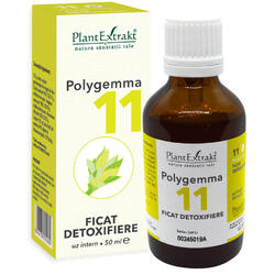 Polygemma 11 (Ficat-Detoxifiere) 50ml PLANTEXTRAKT