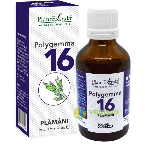 Polygemma 16 (Plamani) 50ml, PLANTEXTRAKT, Gemoderivate, 1, Vegis.ro
