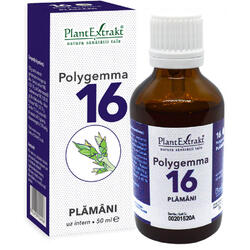 Polygemma 16 (Plamani) 50ml PLANTEXTRAKT