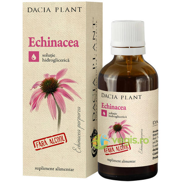 Tinctura De Echinacea Fara Alcool 50ml, DACIA PLANT, Tincturi simple, 1, Vegis.ro