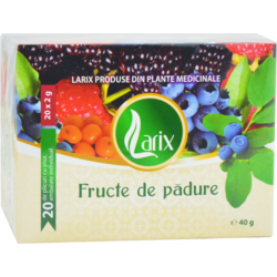 Ceai de Fructe Padure cu Snur 20dz LARIX