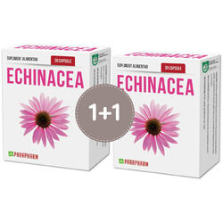 Pachet Echinacea 30cps+30cps QUANTUM PHARM