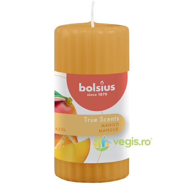 Lumanare Tip Stalp cu Aroma de Mango, BOLSIUS, Lumanari parfumate, 1, Vegis.ro