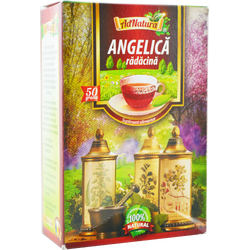 Ceai Angelica Radacina 50g ADNATURA