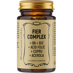 Fier Complex + B6 + B12+ Acid Folic + Cupru + Acerola 60cps REMEDIA