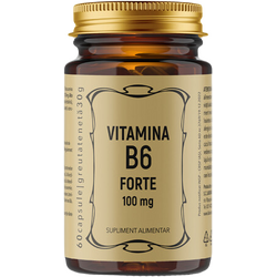 Vitamina B6 60cps REMEDIA