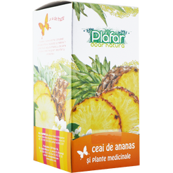 Ceai de Ananas si Plante Medicinale 20dz PLAFAR