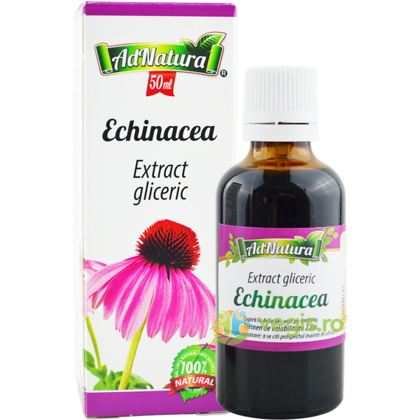 Extract Gliceric Echinacea fara Alcool 50ml, ADNATURA, Tincturi simple, 1, Vegis.ro