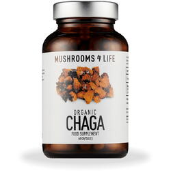 Chaga Mushroom 800mg Full Spectrum 60cps MUSHROOMS4LIFE