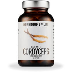 Cordyceps Mushroom 1000mg Full Spectrum 60cps MUSHROOMS4LIFE