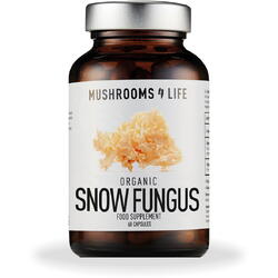 Snow Fungus Mushroom (Tremella) 800mg Full Spectrum 60cps MUSHROOMS4LIFE