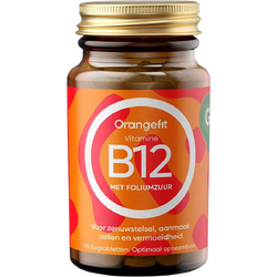 Vitamina B12 cu Acid Folic 90tb Orangefit